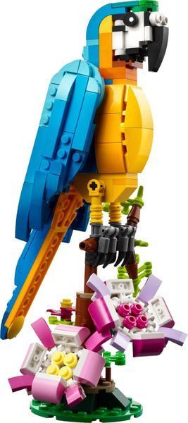 Конструктор LEGO Creator 31136 Екзотичний папуга 31136 фото