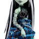 Лялька Monster High Френкі Штейн Стильно зшита &mdash; Frankie Stein Stitched in Style Collector (HRL66) HRL66 фото 6