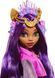 Лялька Monster High Клодін Вульф Монстро фестиваль &mdash; Clawdeen Wolf Monster Fest (HXH80) HXH80 фото 4