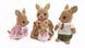 Sylvanian Families Сім'я Кенгуру Calico Critters CC1460 CC1460 фото 4