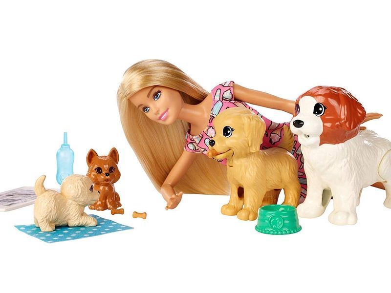 Кукла Барби Щенячий детский сад &mdash; Barbie Doggy Daycare (FXH08) FXH08 фото