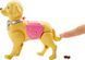 Кукла Барби Прогулка с питомцем &mdash; Barbie Walk & Potty Pup (DWJ68) DWJ68 фото 5