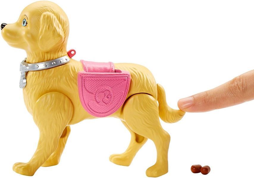 Кукла Барби Прогулка с питомцем &mdash; Barbie Walk & Potty Pup (DWJ68) DWJ68 фото