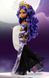 Лялька Monster High Клодін Вульф Святкова зимова &mdash; Clawdeen Wolf Howliday Winter (HNF97) HNF97 фото 9