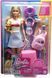 Кукла Барби Путешественница с щенком  &mdash; Barbie Travel (HJY18) HJY18 фото 10
